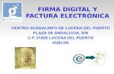 Firma digital y factura electronica