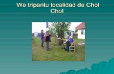 Wetripantu en cholchol