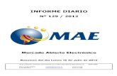 Informe Diario MAE 16-07-12