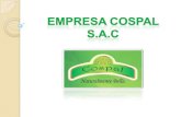 Proyecto Cospal s