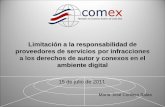 Limitación a la responsabilidad de proveedores de servicios por infracciones a los derechos de autor y conexos en el ambiente digital.
