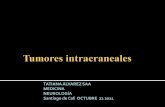Tumores intracraneales