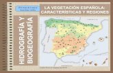 Regiones biogeogrficas-españolas sara