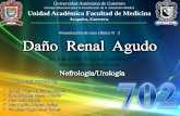 Daño Renal Agudo: Presentación de un caso clínico UAG