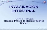 8.  Intusucepción-Invaginación Intestinal pediatría