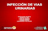 Infección de vias urinarias