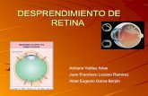 2.8 desprendimiento de retina