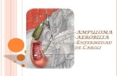AMPULOMA - ENF DE CAROLI - AEROBILIA