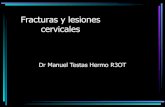 Fracturas y lesiones  cervicales