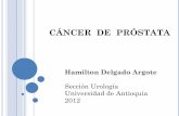 Cancer de próstata - Revisión
