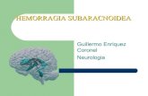 Hemorragia subracnoidea