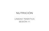 NUTRICION-sesión 11
