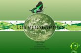 Ecosistemas y redes alimentarias
