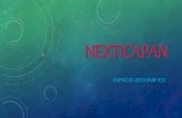 Componentes Nexticapan