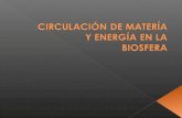 Circulación de Matería y Energía en la Biosfera