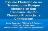 COMPOSICIÓN Y ESTRUCTURA DE UN BOSQUE MONTANO EN SAN FRANCISCO (GUAYLLABAMBA), CHIMBORAZO