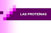 Tema 4. Las Proteinas