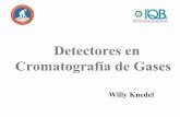Detectores en Cromatografía de Gases