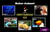 Reino animal vertebrados