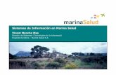 Sistemes de informació, estratègies i organització interna a Marina Salud.