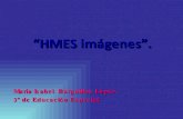Práctica 6: Presentación de HMES