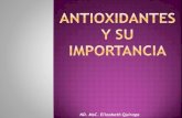 Antioxidantes y su importancia