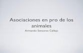 Ong's animales