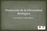 Protección de la Diversidad  Biológica