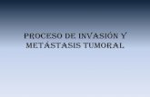 Proceso de invasión y metástasis tumoral