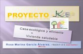 Proyecto Bachillerato de Investigación ke2