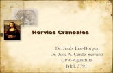 Nervios Craneales Rev