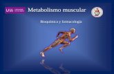 Bioquimica metabolismo muscular I