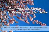 Domingo de resurrección a 2014 salmo y lecturas