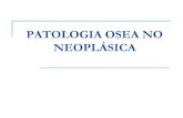 33. )Patologia Osea No NeopláSica