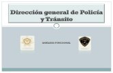 DireccióN General De PolicíA Y TráNsito 5 Analisis Funcional