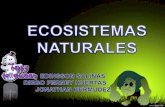 Ecosistemas naturales