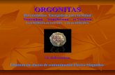 Orgonautas, guerreros etericos ysus herramientasenergéticas:  las orgonitas