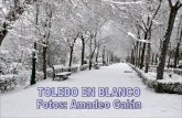 Toledo En Blanco 0110 Amadeo
