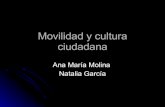 Movilidad Y Cultura Ciudadana