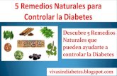 Remedios y Hierbas naturales para controlar la diabetes