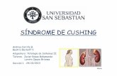Seminario Patología de Sistemas II: Sindrome de Cushing