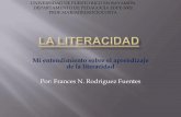 Frances N. Rodriguez(La literacidad)