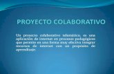 Proyecto colaborativos