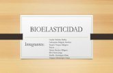 Biofisica: Bioelasticidad
