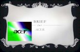 Brief  acer