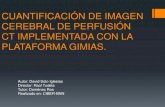 CUANTIFICACIÓN DE IMAGEN CEREBRAL DE PERFUSIÓN CT IMPLEMENTADA CON LA PLATAFORMA GIMIAS.
