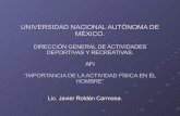 DiseñO Y EstructuracióN De Los Catalogos De Ejercicios