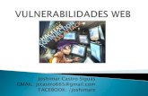 Vulnerabilidades web