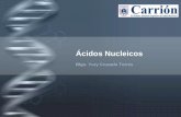 Acidos nucleicos y sintesis de proteinas