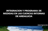 Integración y programa de medidas en las cuencas internas de Andalucía.